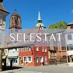 Des Tourtereaux Proche Europapark Et Rulantica Bindernheim