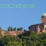 Des Tourtereaux Proche Europapark Et Rulantica 別荘