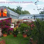 Des Tourtereaux Proche Europapark Et Rulantica 別荘 *