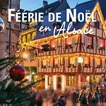 Des Tourtereaux Proche Europapark Et Rulantica * Bindernheim