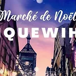 Des Tourtereaux Proche Europapark Et Rulantica *