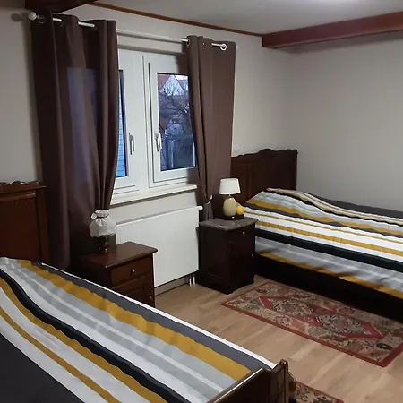 Des Tourtereaux Proche Europapark Et Rulantica Bindernheim