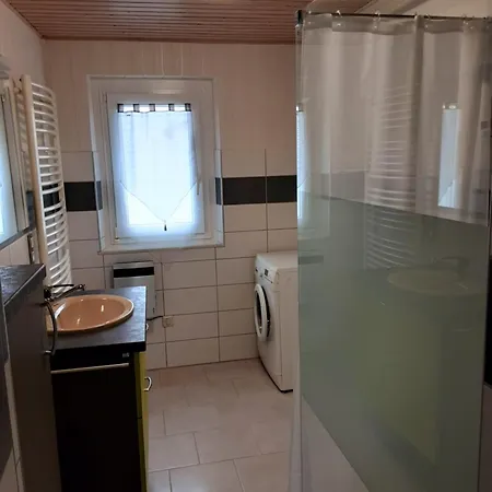 Des Tourtereaux Proche Europapark Et Rulantica *