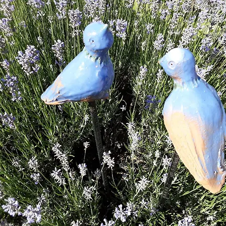 Vakantiehuis Des Tourtereaux Proche Europapark Et Rulantica