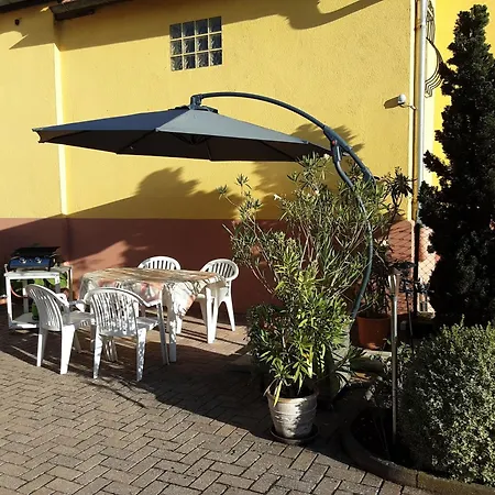 Des Tourtereaux Proche Europapark Et Rulantica Bindernheim