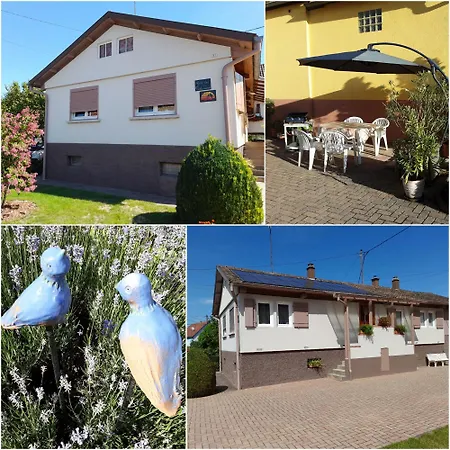 Des Tourtereaux Proche Europapark Et Rulantica * Bindernheim