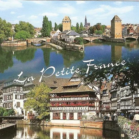 Des Tourtereaux Proche Europapark Et Rulantica Bindernheim