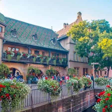 Vakantiehuis Des Tourtereaux Proche Europapark Et Rulantica