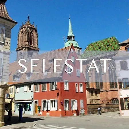 Des Tourtereaux Proche Europapark Et Rulantica Bindernheim
