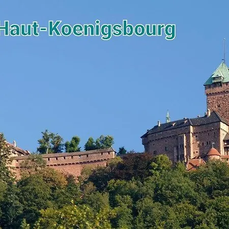 Des Tourtereaux Proche Europapark Et Rulantica Vakantiehuis