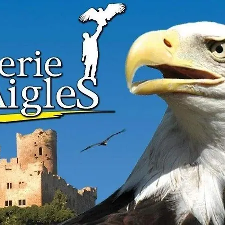 Des Tourtereaux Proche Europapark Et Rulantica *