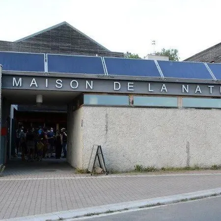 Des Tourtereaux Proche Europapark Et Rulantica Bindernheim