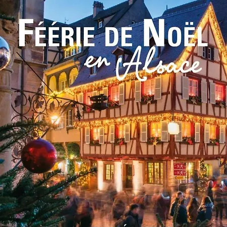 Des Tourtereaux Proche Europapark Et Rulantica * Bindernheim