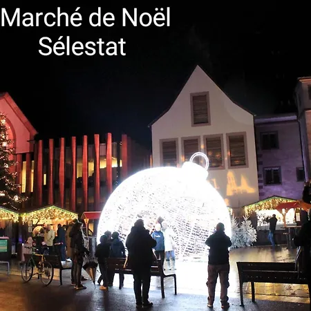 Des Tourtereaux Proche Europapark Et Rulantica