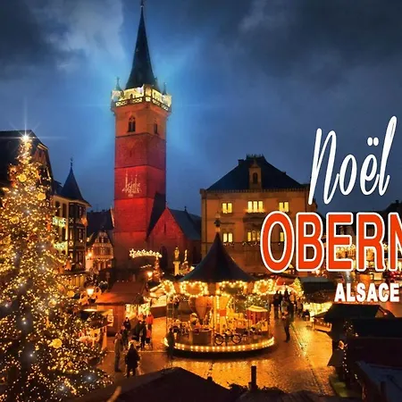 Vakantiehuis Des Tourtereaux Proche Europapark Et Rulantica *