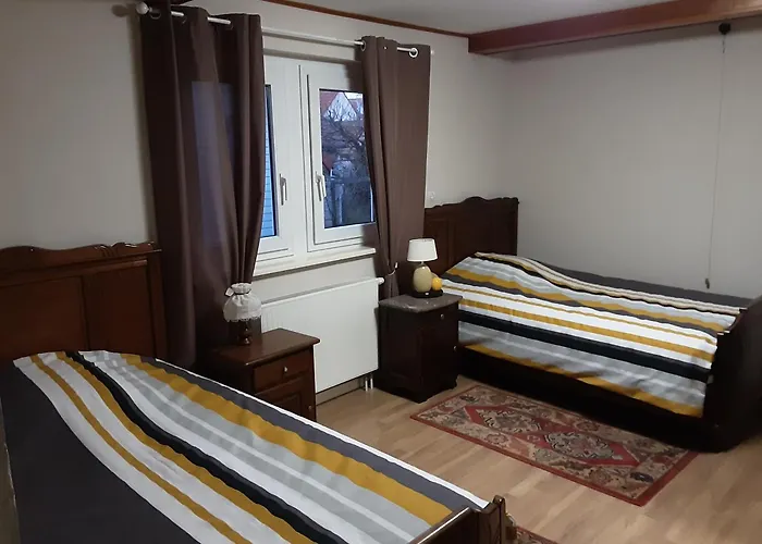 Des Tourtereaux Proche Europapark Et Rulantica Bindernheim