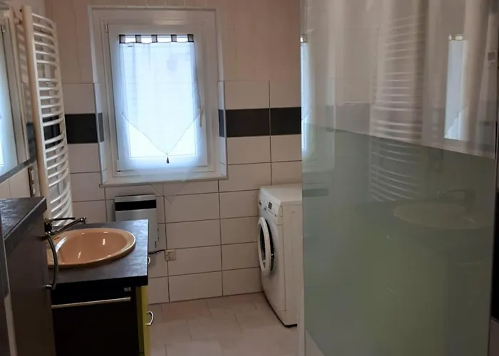 Des Tourtereaux Proche Europapark Et Rulantica *