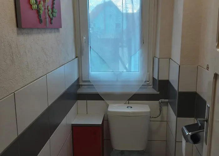 Des Tourtereaux Proche Europapark Et Rulantica Hébergement de vacances *