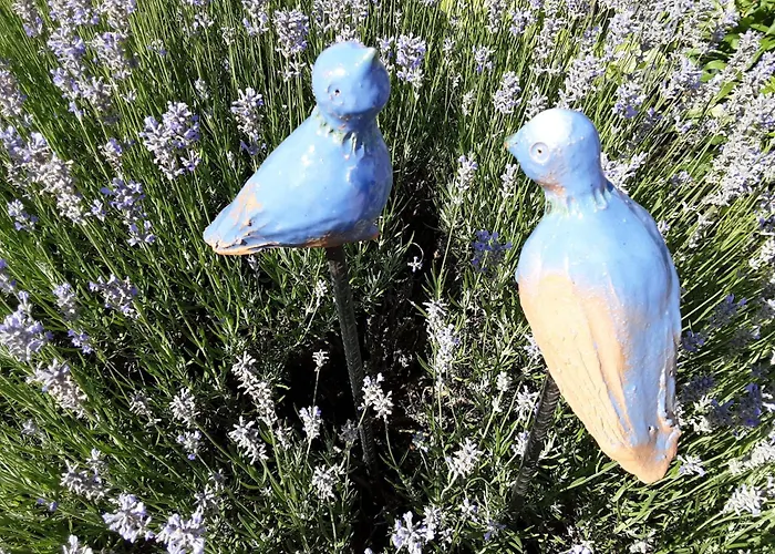 Hébergement de vacances Des Tourtereaux Proche Europapark Et Rulantica