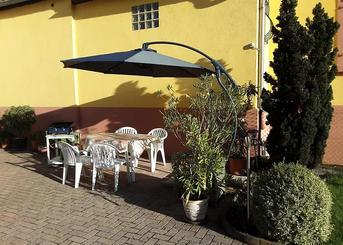 Des Tourtereaux Proche Europapark Et Rulantica Bindernheim