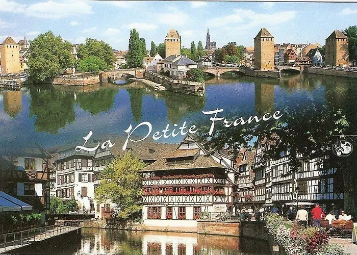 Des Tourtereaux Proche Europapark Et Rulantica Bindernheim