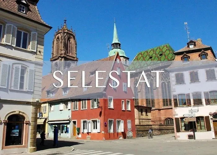 Des Tourtereaux Proche Europapark Et Rulantica Bindernheim