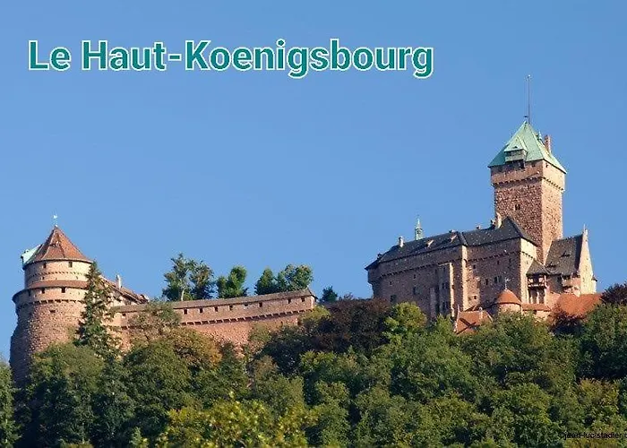 Des Tourtereaux Proche Europapark Et Rulantica Hébergement de vacances