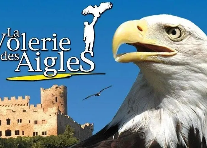 Des Tourtereaux Proche Europapark Et Rulantica *