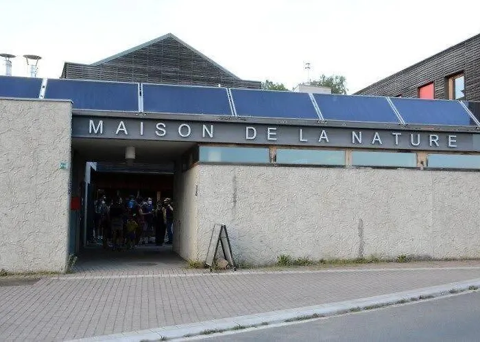 Des Tourtereaux Proche Europapark Et Rulantica Bindernheim