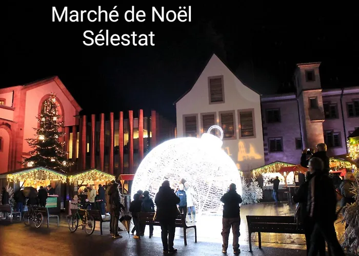 Des Tourtereaux Proche Europapark Et Rulantica